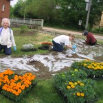 Everyone is welcome to help plant and weed our community flower gardens!