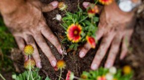 Weed & Water Wednesdays!